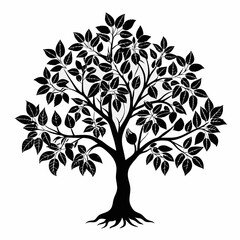 Obraz premium chinquapin-tree-silhouette