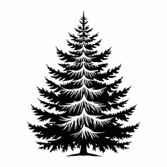 blue-spruce-tree-silhouette