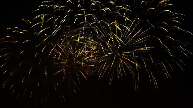 Gold and purple sparks scatter fireworks on the black night sky. General plan