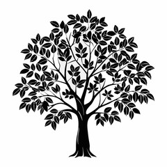 Fototapeta premium brazilwood-tree-silhouette