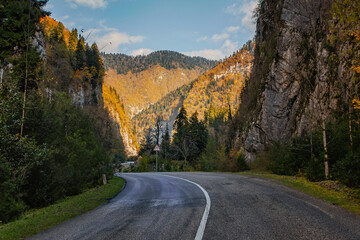 Empty road winds through a panoramic mountain landscape scene with golden fall trees. A winding road along the gorge in autumn.