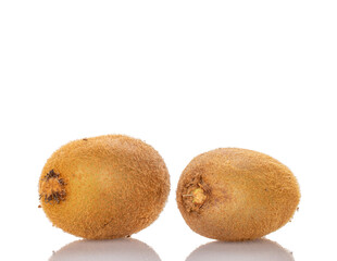 Ripe juicy kiwi, macro, isolated on white background.