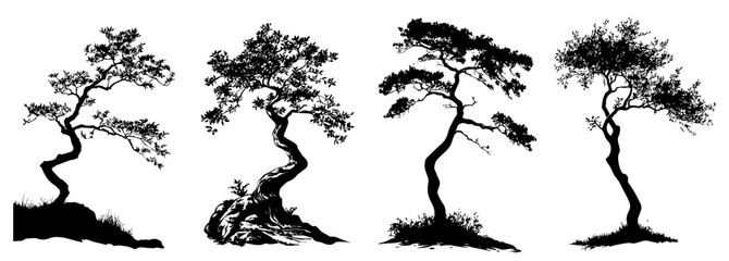 japanese bonsai tree illustrations with elegant twisting trunks, black vector