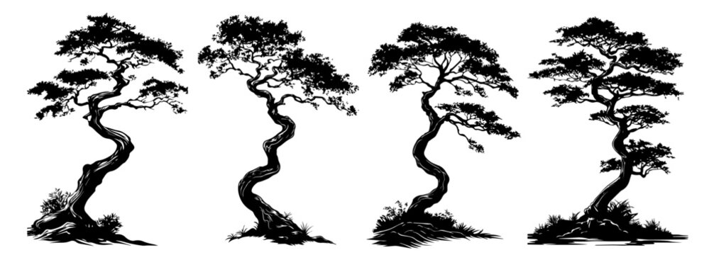 traditional bonsai tree collection, intricate tree illustrations, black vector