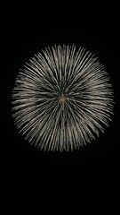 Obraz premium fireworks in the night sky