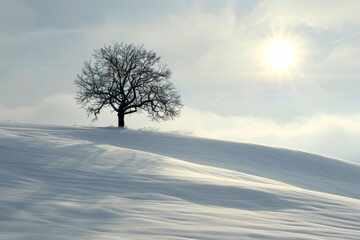 A lone tree stands in the snow on a hill. The sun is shining brightly, casting a warm glow on the scene
