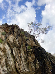 Rugged rock face rises sharply against a backdrop of blue sky dotted with white clouds, showcasing resilience of nature as a lone tree clings to cliffside. 