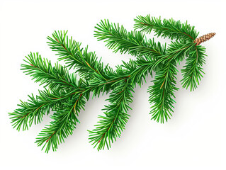 Naklejka premium Green pine tree branch with a few brown tips. The branch is long and thin, and it is the only visible part of the tree