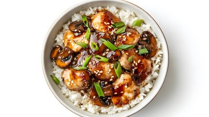 Food photo, Chinese brown sauce chicken with rice in a bowl, overhead view, white background