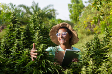 Female Cannabis farmer tending to her plants during summer
