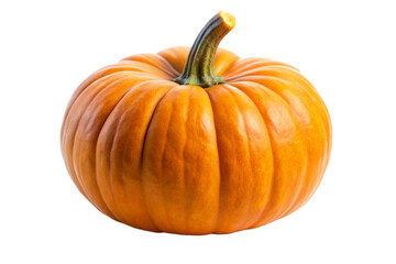  Pumpkin png