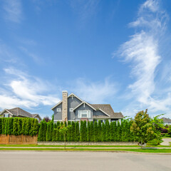 Houses in suburb at Summer in the north America. Luxury houses with nice landscape.