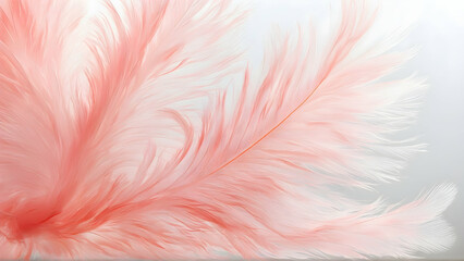 Obraz premium Image nature art of wings bird,Soft pastel detail of design,chicken feather texture,white fluffy twirled on transparent background wallpaper Abstract. Coral Pink color trends and vintage