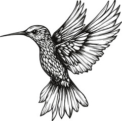 Obraz premium Black hummingbird silhouette on a white background.