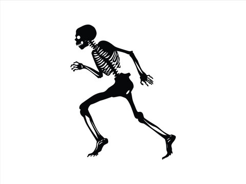 recommend clip art: Running Skeleton Silhouettes – Halloween Creepy Skeleton Figures in Motion.
