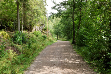 Path