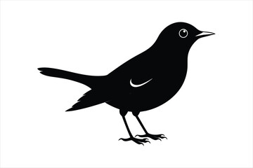  Thrush bird silhouette black vector art illustration.