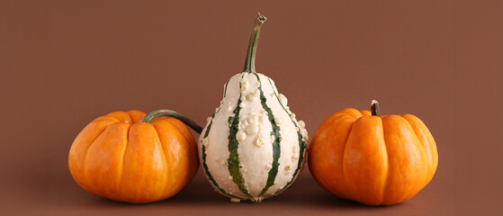 Fresh pumpkins on brown background