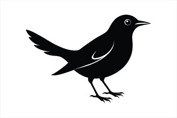  Thrush bird silhouette black vector art illustration.