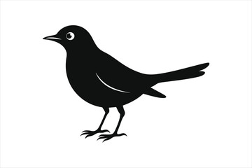  Thrush bird silhouette black vector art illustration.