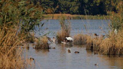 jezioro © Marek Polak