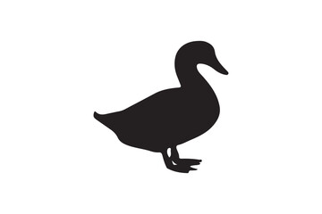Duck Silhouette, Black and White Vector Illustration of a Bird Standing