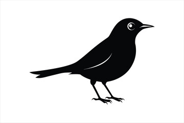 Obraz premium Thrush bird silhouette black vector art illustration.