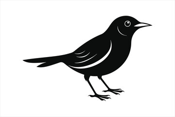 Obraz premium Thrush bird silhouette black vector art illustration.