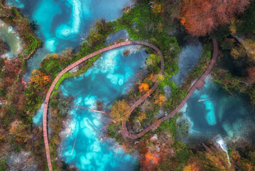 Aerial view of blue lakes in red autumn forest at sunrise