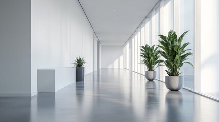 Modern Minimalist Hallway with Natural Light and Plants