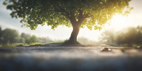 Exploring editing tools that enhance visual storytelling.