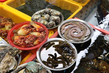 Variety of fresh seafood is displayed on plates at a korean market, showcasing the diversity of marine ingredients