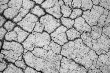 Cracked Sidewalk Texture Crumbling Cement Pathway