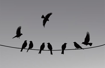 Birds sitting on wires and flying nearby. The silhouette of birds against the sky. EPS 10 flat vector illustration.
