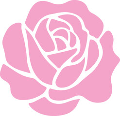 pink rose