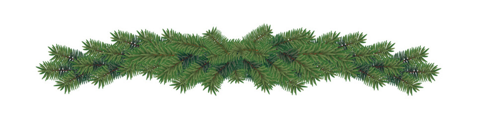 Christmas tree branches, realistic spruce twigs. Vector illustration.