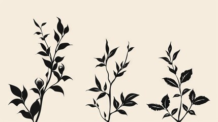 Minimalistic black silhouette of plant stems with leaves and buds, perfect for nature-themed designs and backgrounds.