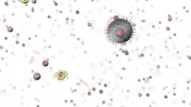 Probiotic bacteria microorganisms micro world 4k