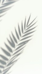 Fototapeta premium Elegant shadow of a palm leaf adds a touch of tranquility and nature-inspired aesthetics, perfect for backgrounds in wellness, design, and eco-friendly branding.