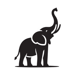 Obraz premium elephant silhouette isolated on white