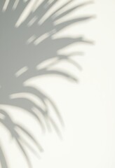 Obraz premium Elegant palm shadow casting on a minimalistic background, perfect for tropical, nature-themed designs or wellness and relaxation concepts.