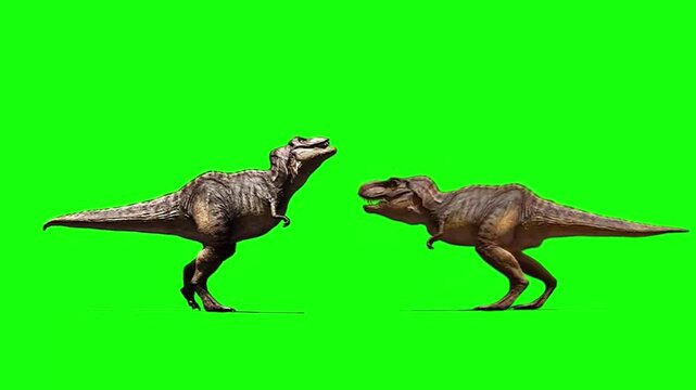 dinosaurs fight