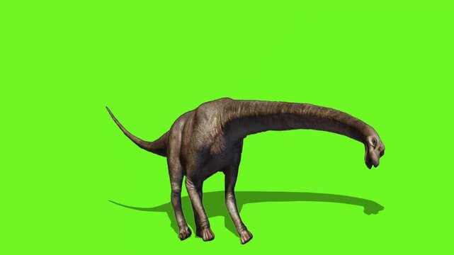 brachiosaurus green screen dinosaurus green screen