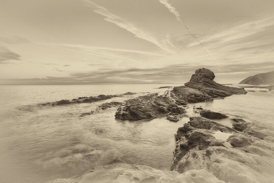 Riviera del Conero - Vintage