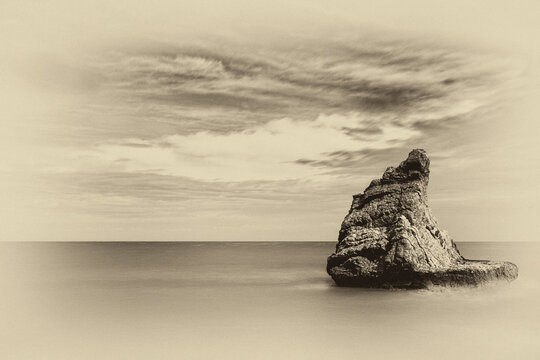 Riviera del Conero - Vintage