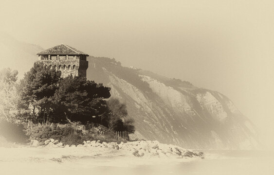 Riviera del Conero - Vintage