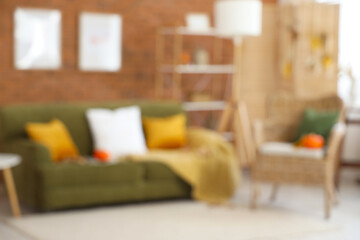 Cozy sofa and armchair with pumpkins in autumn interior of living room. Blurred view