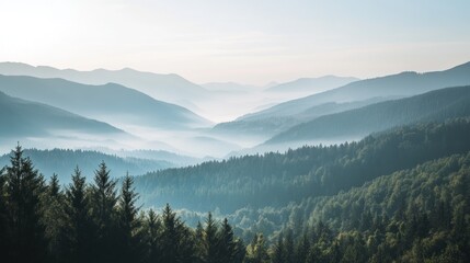 Misty mountain landscape with lush green trees in the foreground, showcasing a stunning view of the valley below.