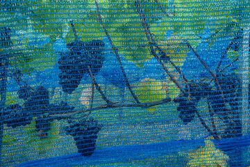 Blaues Netzgewebe als Staren schutz über den Weinreben