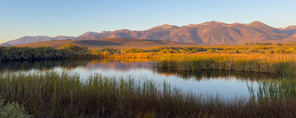 Thermal Pools Near Mono Lake at Sunrise